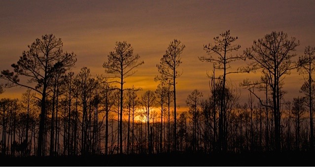 Wisconsin Sunset ,by Rod VanHorenweder