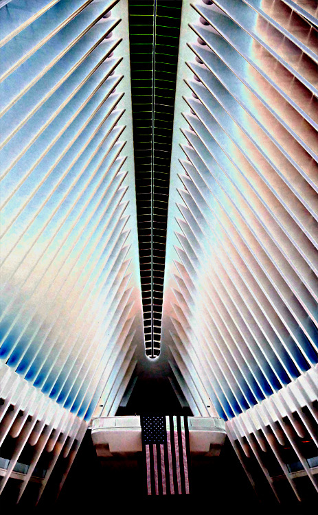 Oculus Ceiling, by Joe Constantino
