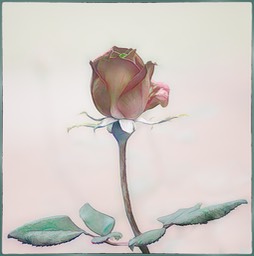 A SIMPLE ROSE, by Cheri Halstead.jpg