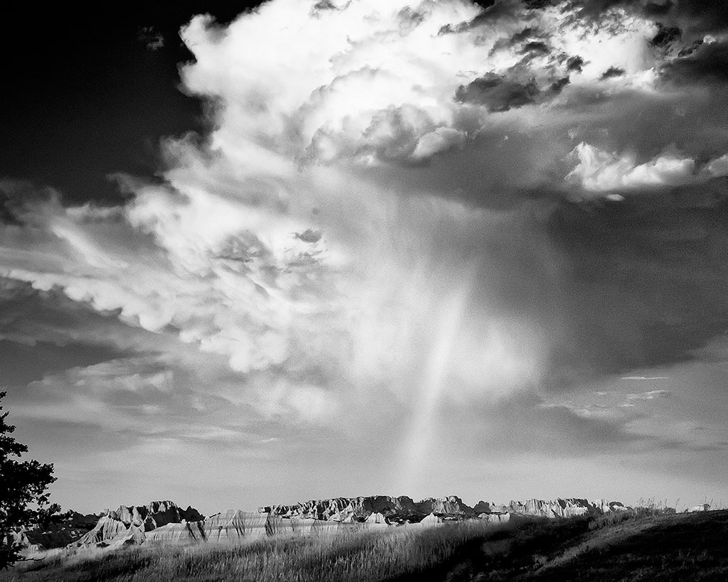 After the Storm, by Cheri Halstead