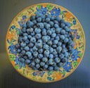 Blueberry Bowl, by Rod VanHorenweder