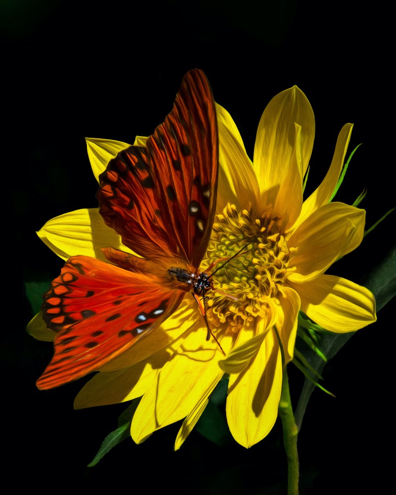 Butterfly and Flower, by Cheri Halstead.jpg