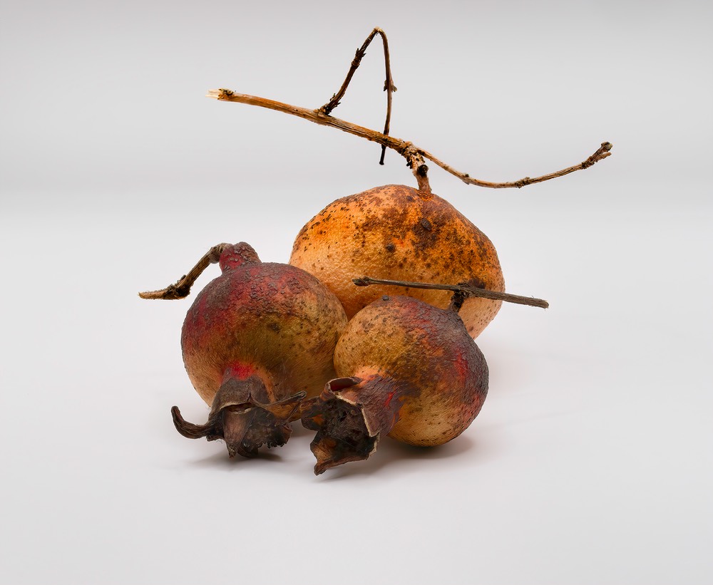 C_Kuhnle_D_Asian Pears
