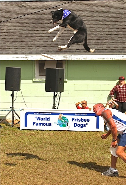 Catching Frisbees, by Rod VanHorenweder