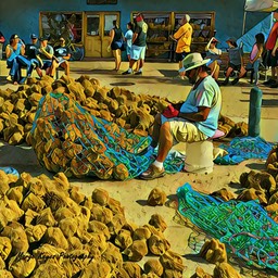 Cleaning Sponges in Tarpon Spring, by Marge Keyes