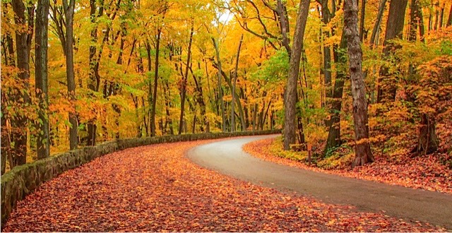 Country Road, by Rod VanHorenweder