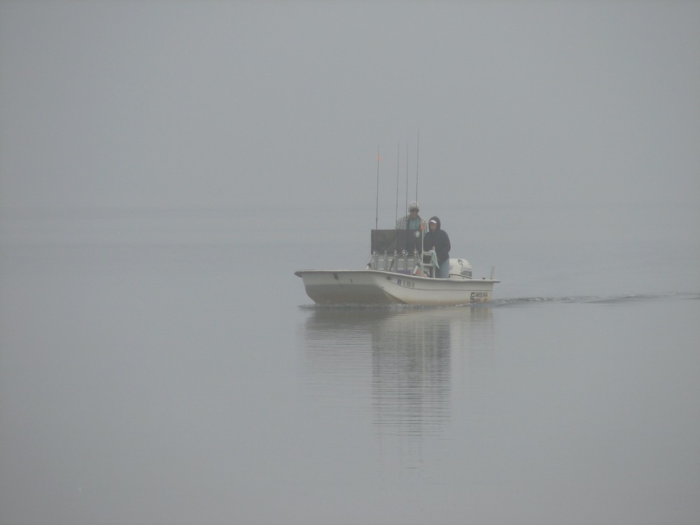 Fishing in Fog, by Joan Bold