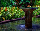 Fountain at Longwood Gardens, by Marge Keyes