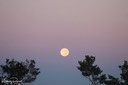 Moon Setting, by Kim Rexroat