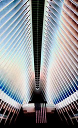 Oculus Ceiling, by Joe Constantino