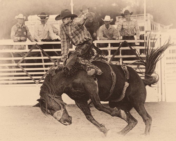 Old Time Rodeo