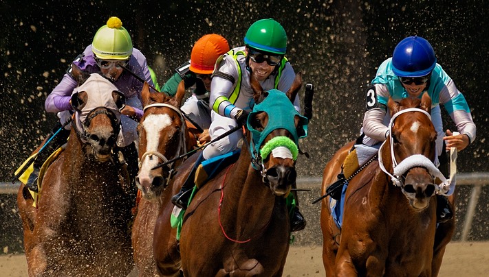 Rounding the Turn, by Nancy Lester