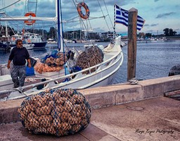 Sponge Fisherman-Marge Keyes