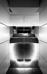 Steps Vertical at Wang Center