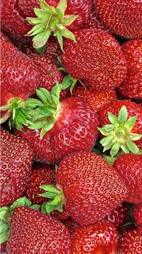 Strawberries ,by Rod VanHorenweder