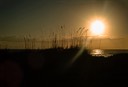 Sunrise on the Dunes, by Don Kuhnle