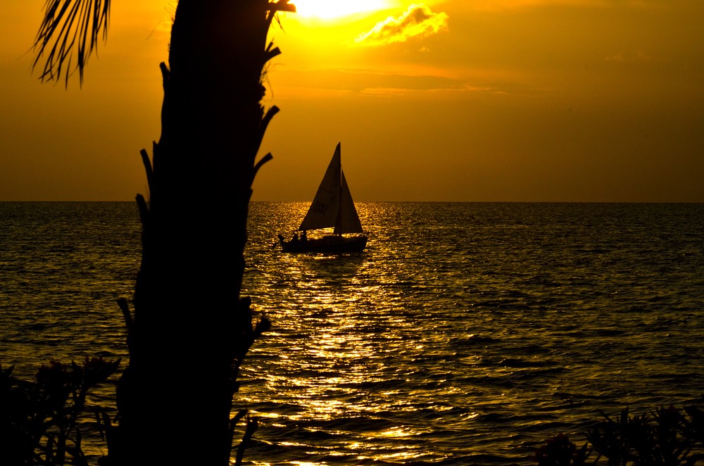 Sunset Sailing, by Don Kuhnle