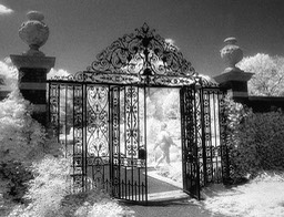 Through the Gate, by Joe Constantino