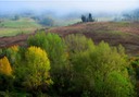 Tuscan Hills, by Georgia Robinson
