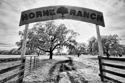 Welcom to Horne Ranch