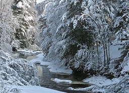 Winter Wonderland ,by Rod VanHorenweder