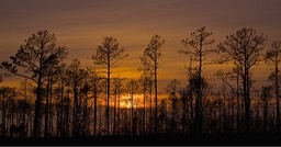 Wisconsin Sunset ,by Rod VanHorenweder